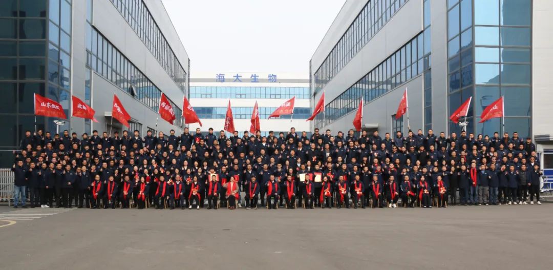 bv伟德国际1946举行2024年度总结表彰大会