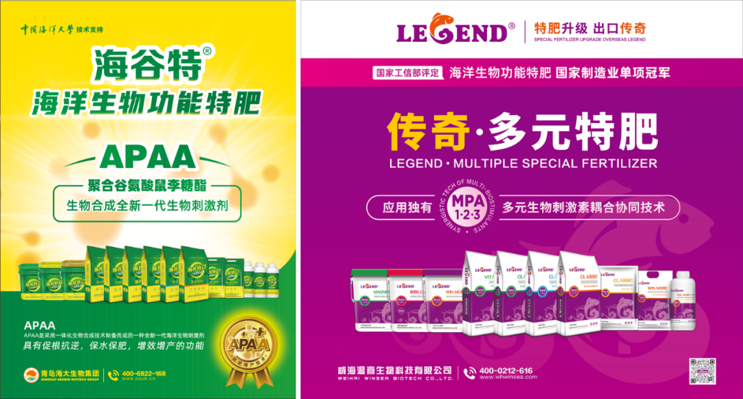 助力国际特肥行业发展，bv伟德国际1946荣获三项大奖